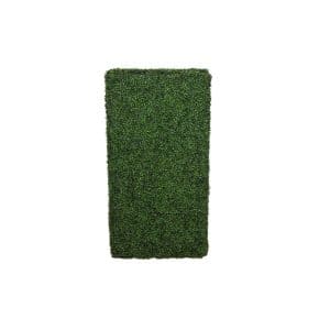 Box Wood Hedge